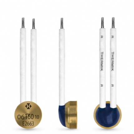 ܿThermik 06ϵПᱣo(h)C06 Power class 4 A to 25 A