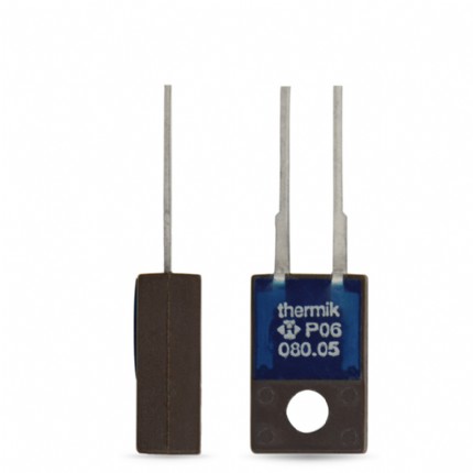 ܿThermik 06ϵПᱣo(h)P06 Power class 4 A to 25 A